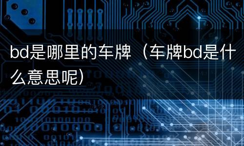 bd是哪里的车牌（车牌bd是什么意思呢）