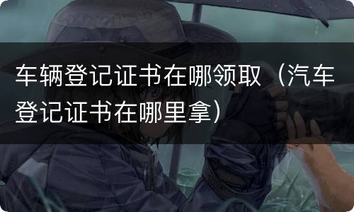 车辆登记证书在哪领取（汽车登记证书在哪里拿）