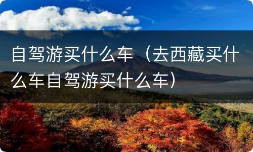 自驾游买什么车（去西藏买什么车自驾游买什么车）