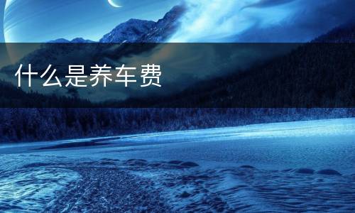 什么是养车费