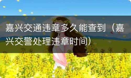 嘉兴交通违章多久能查到（嘉兴交警处理违章时间）