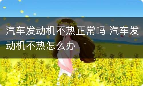 汽车发动机不热正常吗 汽车发动机不热怎么办