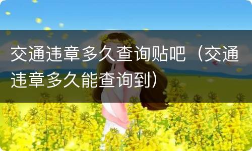 交通违章多久查询贴吧（交通违章多久能查询到）