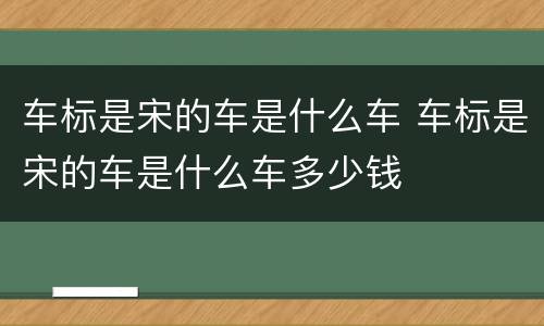 车标是宋的车是什么车 车标是宋的车是什么车多少钱