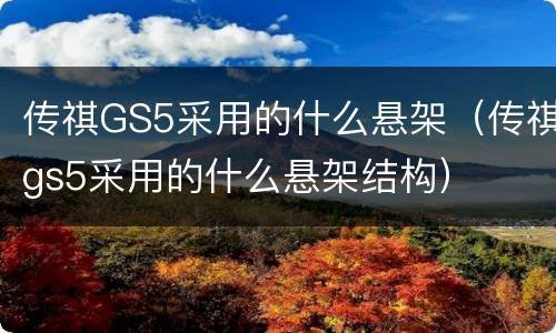 传祺GS5采用的什么悬架（传祺gs5采用的什么悬架结构）