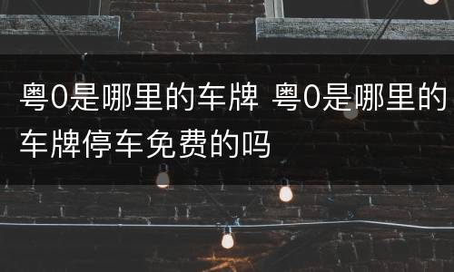 粤0是哪里的车牌 粤0是哪里的车牌停车免费的吗