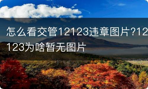 怎么看交管12123违章图片?12123为啥暂无图片