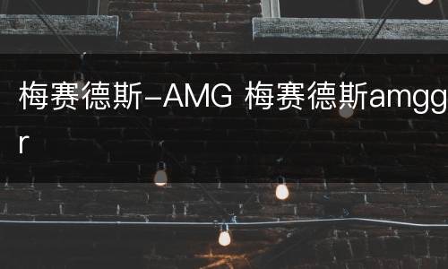 梅赛德斯-AMG 梅赛德斯amggtr