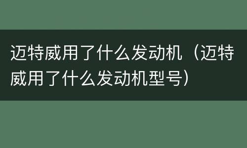 迈特威用了什么发动机（迈特威用了什么发动机型号）
