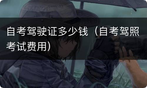 自考驾驶证多少钱（自考驾照考试费用）