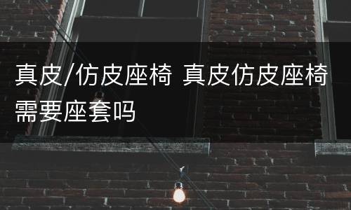真皮/仿皮座椅 真皮仿皮座椅需要座套吗