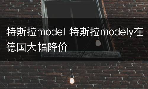 特斯拉model 特斯拉modely在德国大幅降价
