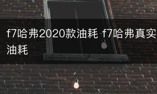 f7哈弗2020款油耗 f7哈弗真实油耗