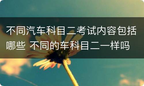 不同汽车科目二考试内容包括哪些 不同的车科目二一样吗