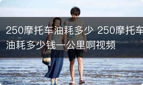 250摩托车油耗多少 250摩托车油耗多少钱一公里啊视频
