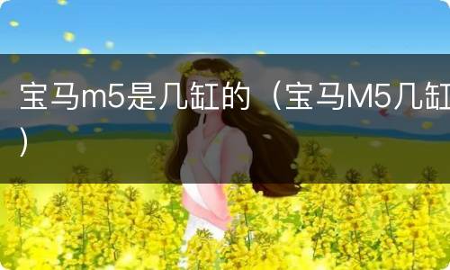 宝马m5是几缸的（宝马M5几缸）