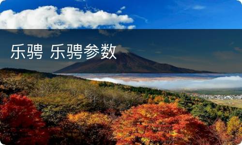 乐骋 乐骋参数