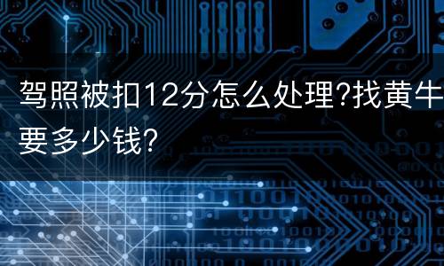 驾照被扣12分怎么处理?找黄牛要多少钱?
