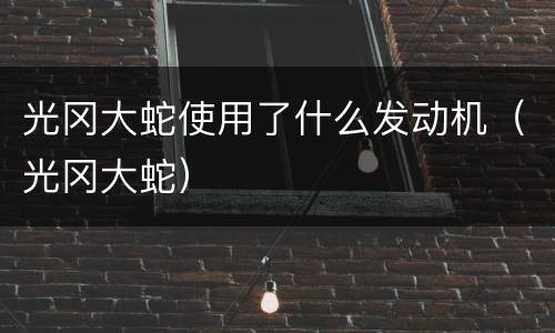 光冈大蛇使用了什么发动机（光冈大蛇）