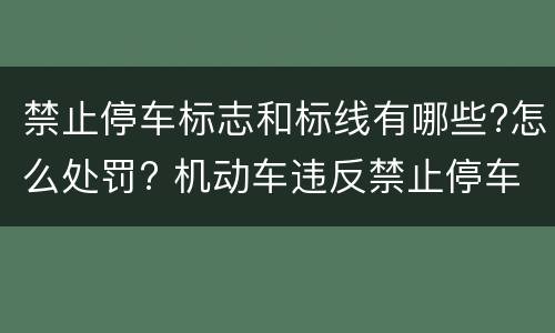 禁止停车标志和标线有哪些?怎么处罚? 机动车违反禁止停车标志,禁止停车标线指示的怎么处罚