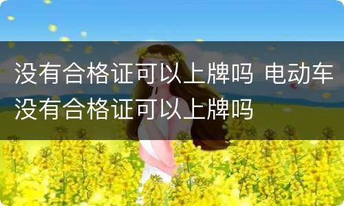 没有合格证可以上牌吗 电动车没有合格证可以上牌吗