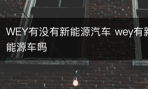WEY有没有新能源汽车 wey有新能源车吗