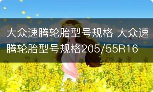 大众速腾轮胎型号规格 大众速腾轮胎型号规格205/55R16