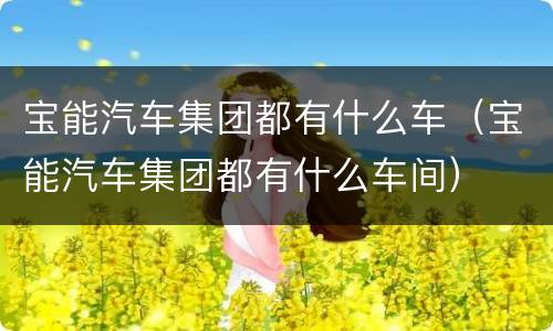 宝能汽车集团都有什么车（宝能汽车集团都有什么车间）