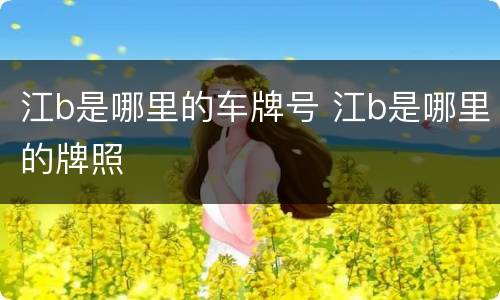 江b是哪里的车牌号 江b是哪里的牌照