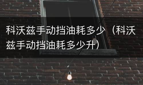 科沃兹手动挡油耗多少（科沃兹手动挡油耗多少升）