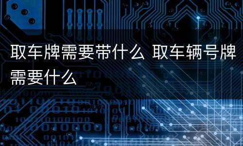 取车牌需要带什么 取车辆号牌需要什么