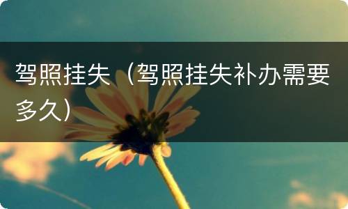 驾照挂失（驾照挂失补办需要多久）
