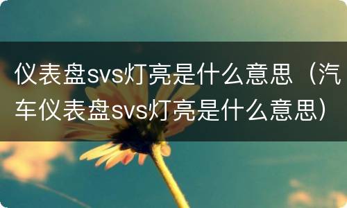 仪表盘svs灯亮是什么意思（汽车仪表盘svs灯亮是什么意思）