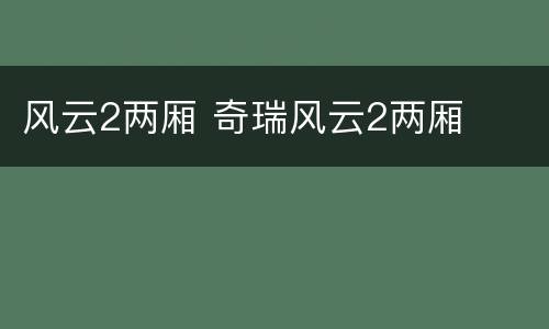 风云2两厢 奇瑞风云2两厢