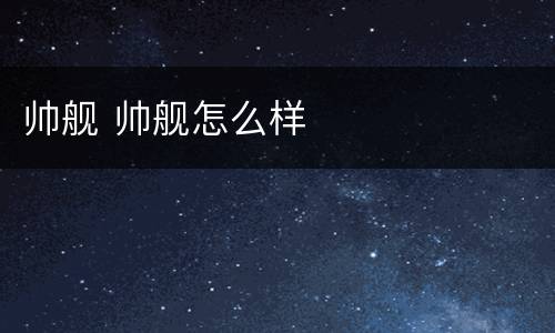 帅舰 帅舰怎么样