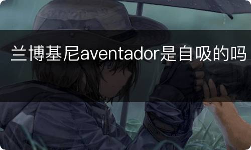 兰博基尼aventador是自吸的吗