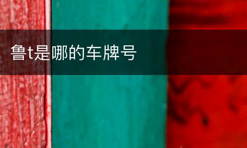 鲁t是哪的车牌号