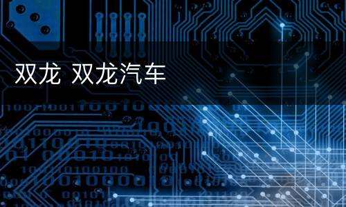 双龙 双龙汽车