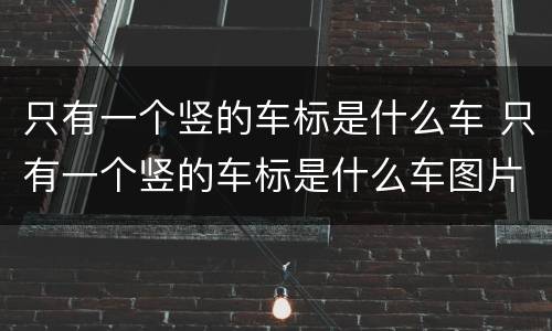 只有一个竖的车标是什么车 只有一个竖的车标是什么车图片