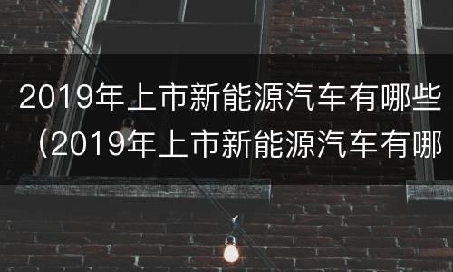 2019年上市新能源汽车有哪些（2019年上市新能源汽车有哪些车型）
