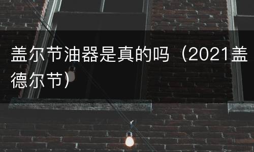 盖尔节油器是真的吗（2021盖德尔节）