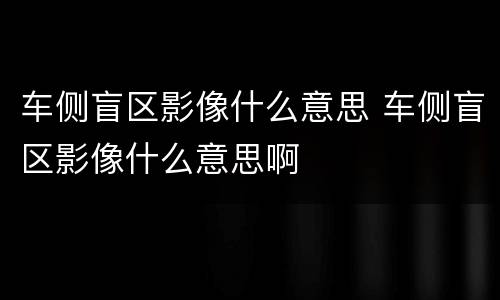 车侧盲区影像什么意思 车侧盲区影像什么意思啊