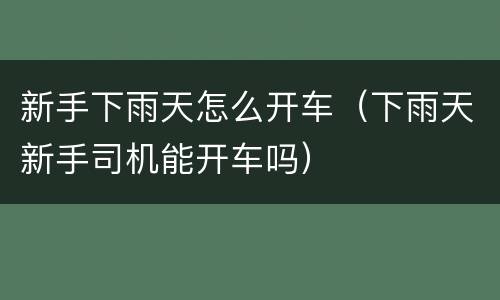 新手下雨天怎么开车（下雨天新手司机能开车吗）