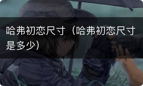哈弗初恋尺寸（哈弗初恋尺寸是多少）