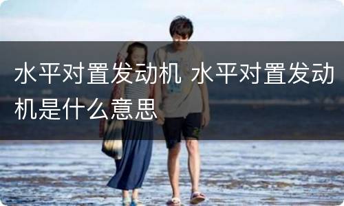 水平对置发动机 水平对置发动机是什么意思
