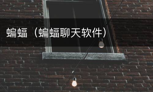 蝙蝠（蝙蝠聊天软件）