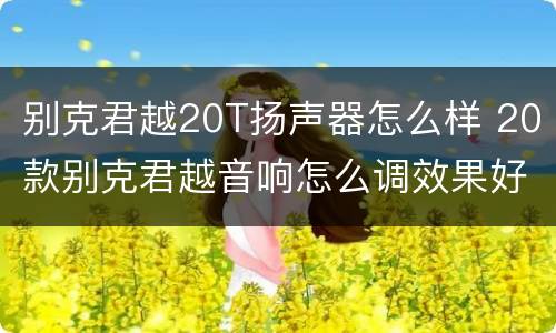 别克君越20T扬声器怎么样 20款别克君越音响怎么调效果好