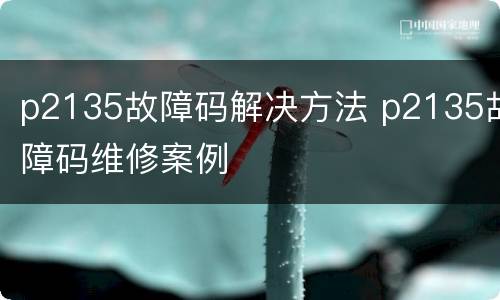 p2135故障码解决方法 p2135故障码维修案例