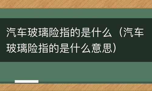 汽车玻璃险指的是什么（汽车玻璃险指的是什么意思）