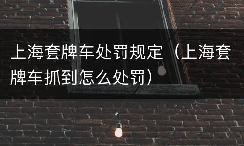 上海套牌车处罚规定（上海套牌车抓到怎么处罚）